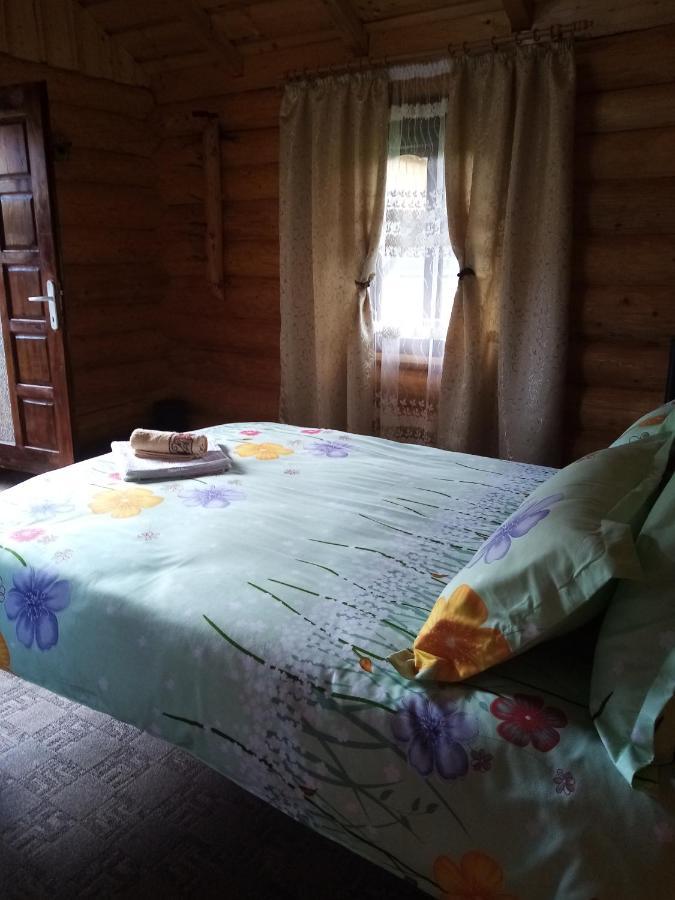 Готель Casa Prundari Nicu Si Mirela Poiana Teiului Екстер'єр фото