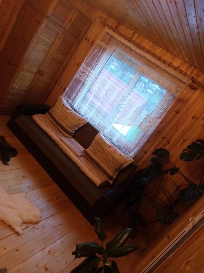 Готель Casa Prundari Nicu Si Mirela Poiana Teiului Екстер'єр фото