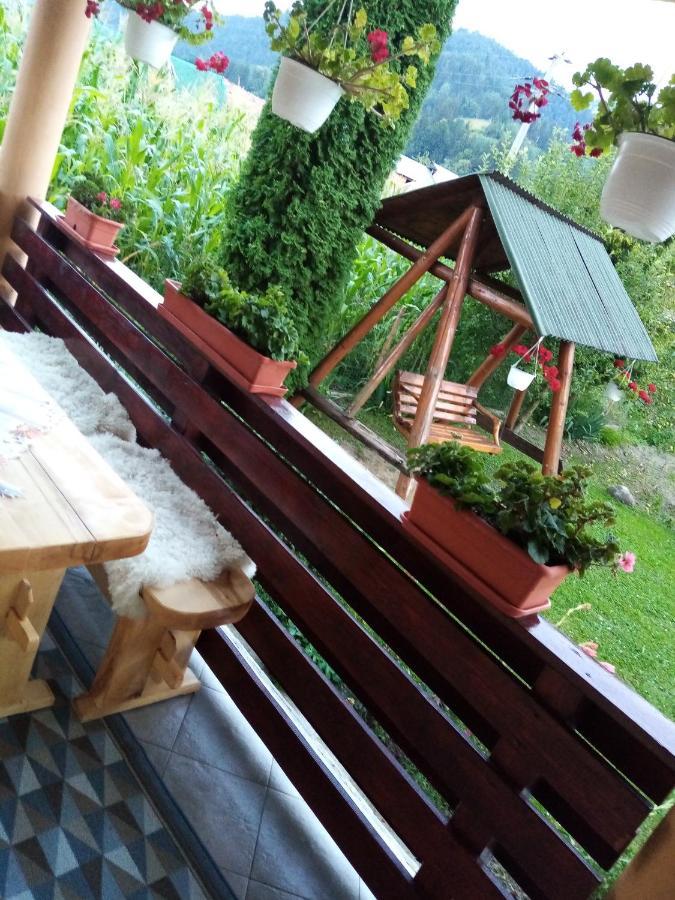 Готель Casa Prundari Nicu Si Mirela Poiana Teiului Екстер'єр фото