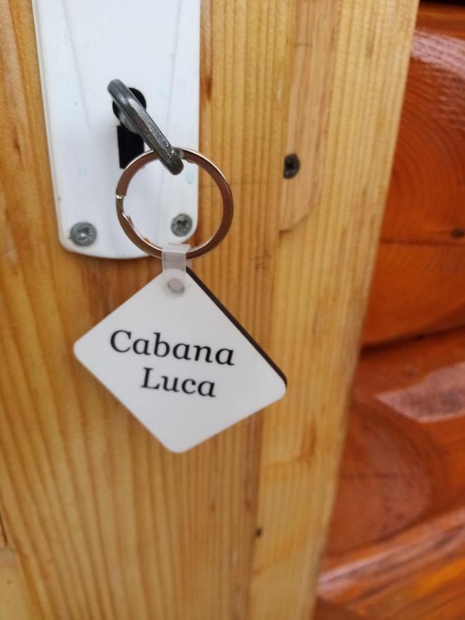 Готель Casa Prundari Nicu Si Mirela Poiana Teiului Екстер'єр фото